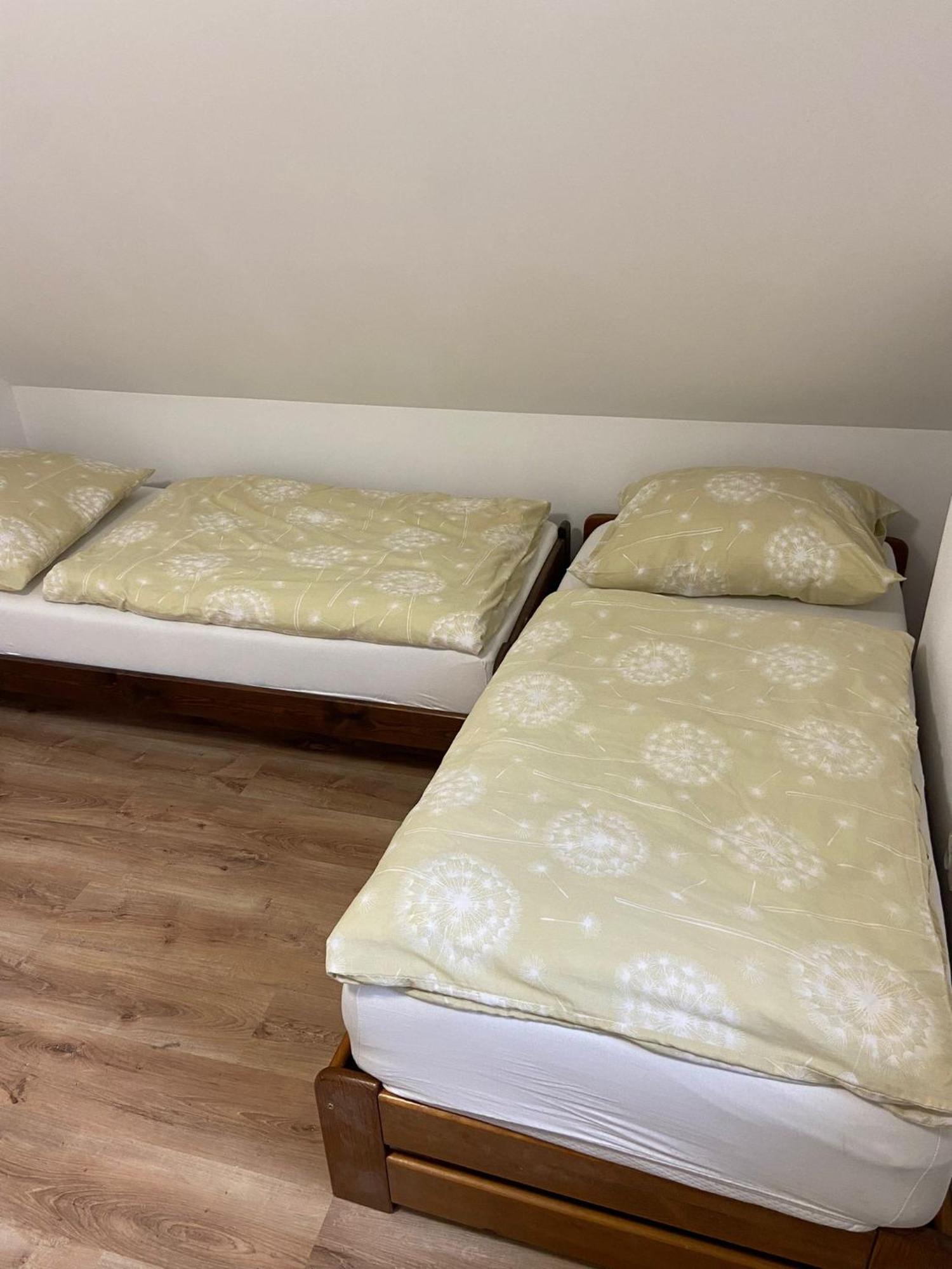 Apartament Tvm Ostrava 1 Zewnętrze zdjęcie
